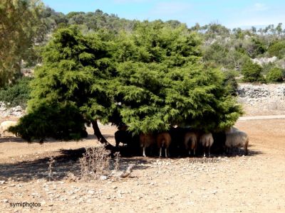 Κάντε κλικ για να δείτε την εικόνα σε πλήρες μέγεθος