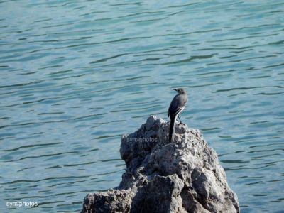 Κάντε κλικ για να δείτε την εικόνα σε πλήρες μέγεθος