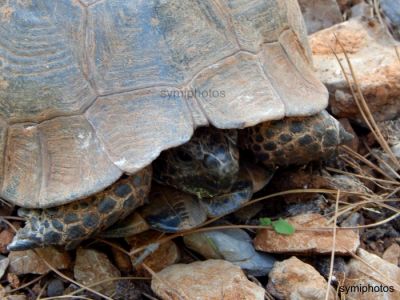 Κάντε κλικ για να δείτε την εικόνα σε πλήρες μέγεθος