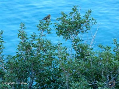 Κάντε κλικ για να δείτε την εικόνα σε πλήρες μέγεθος