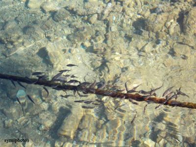 Κάντε κλικ για να δείτε την εικόνα σε πλήρες μέγεθος