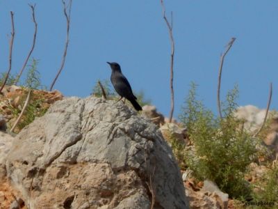 Κάντε κλικ για να δείτε την εικόνα σε πλήρες μέγεθος