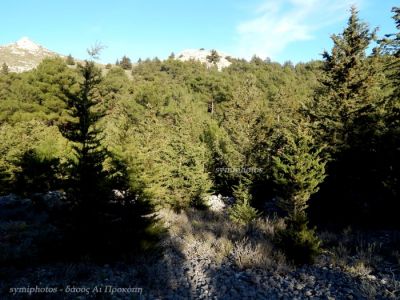 Κάντε κλικ για να δείτε την εικόνα σε πλήρες μέγεθος