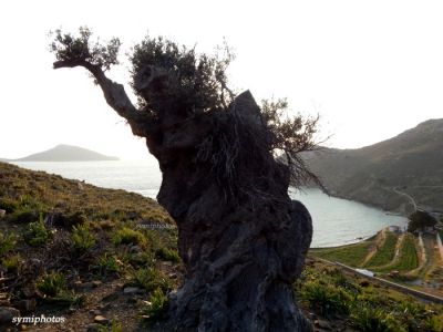 Κάντε κλικ για να δείτε την εικόνα σε πλήρες μέγεθος