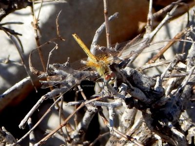 Κάντε κλικ για να δείτε την εικόνα σε πλήρες μέγεθος