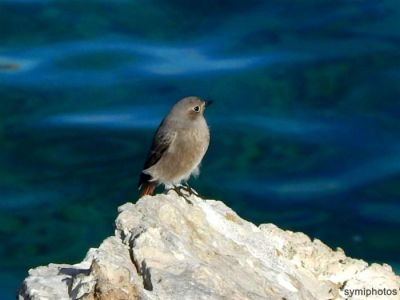 Κάντε κλικ για να δείτε την εικόνα σε πλήρες μέγεθος