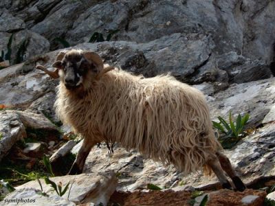 Κάντε κλικ για να δείτε την εικόνα σε πλήρες μέγεθος