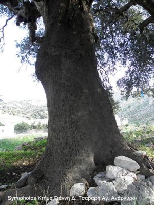 Κάντε κλικ για να δείτε την εικόνα σε πλήρες μέγεθος