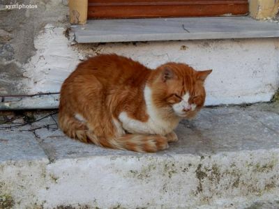 Κάντε κλικ για να δείτε την εικόνα σε πλήρες μέγεθος