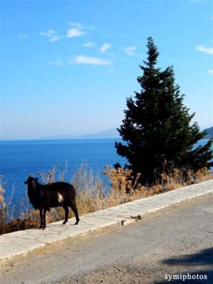 Κάντε κλικ για να δείτε την εικόνα σε πλήρες μέγεθος