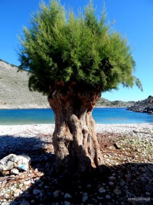 Κάντε κλικ για να δείτε την εικόνα σε πλήρες μέγεθος