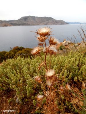 Κάντε κλικ για να δείτε την εικόνα σε πλήρες μέγεθος