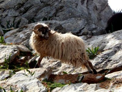 Κάντε κλικ για να δείτε την εικόνα σε πλήρες μέγεθος