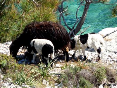 Κάντε κλικ για να δείτε την εικόνα σε πλήρες μέγεθος