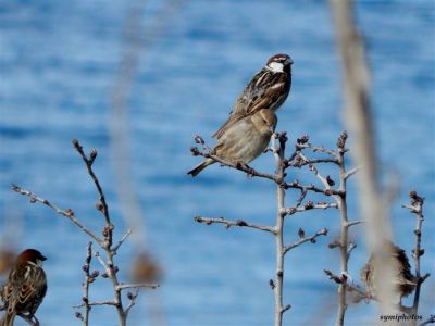 Κάντε κλικ για να δείτε την εικόνα σε πλήρες μέγεθος