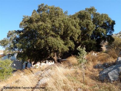 Κάντε κλικ για να δείτε την εικόνα σε πλήρες μέγεθος