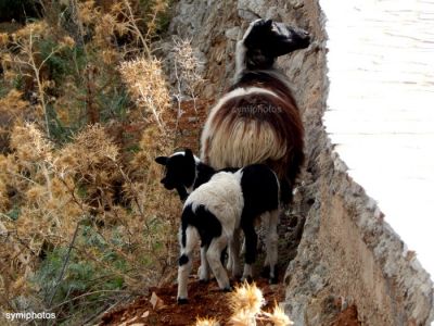 Κάντε κλικ για να δείτε την εικόνα σε πλήρες μέγεθος