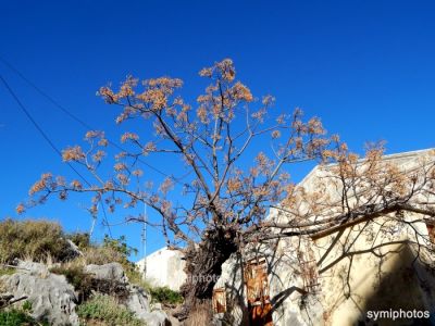 Κάντε κλικ για να δείτε την εικόνα σε πλήρες μέγεθος