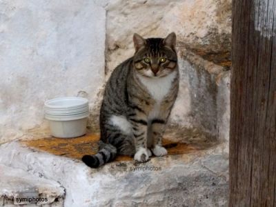 Κάντε κλικ για να δείτε την εικόνα σε πλήρες μέγεθος