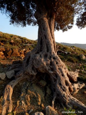 Κάντε κλικ για να δείτε την εικόνα σε πλήρες μέγεθος