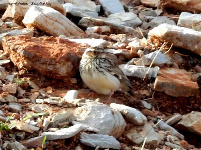 Κάντε κλικ για να δείτε την εικόνα σε πλήρες μέγεθος