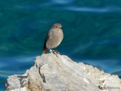 Κάντε κλικ για να δείτε την εικόνα σε πλήρες μέγεθος