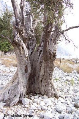 Κάντε κλικ για να δείτε την εικόνα σε πλήρες μέγεθος