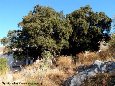 Κάντε κλικ για να δείτε την εικόνα σε πλήρες μέγεθος