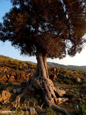 Κάντε κλικ για να δείτε την εικόνα σε πλήρες μέγεθος