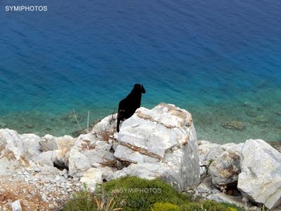 Κάντε κλικ για να δείτε την εικόνα σε πλήρες μέγεθος