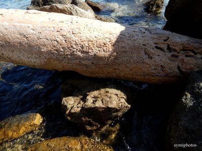 Κάντε κλικ για να δείτε την εικόνα σε πλήρες μέγεθος