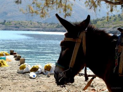 Κάντε κλικ για να δείτε την εικόνα σε πλήρες μέγεθος