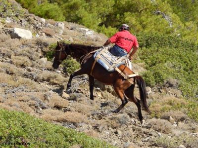 Κάντε κλικ για να δείτε την εικόνα σε πλήρες μέγεθος