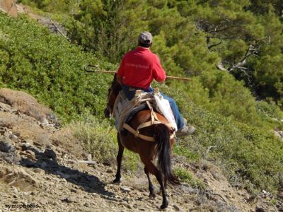 Κάντε κλικ για να δείτε την εικόνα σε πλήρες μέγεθος