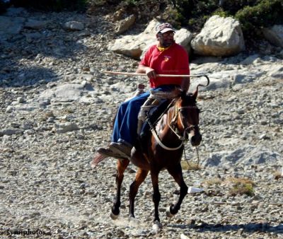 Κάντε κλικ για να δείτε την εικόνα σε πλήρες μέγεθος