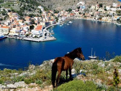 Κάντε κλικ για να δείτε την εικόνα σε πλήρες μέγεθος