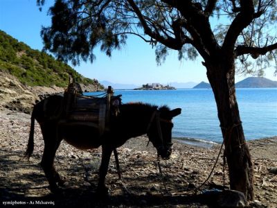 Κάντε κλικ για να δείτε την εικόνα σε πλήρες μέγεθος