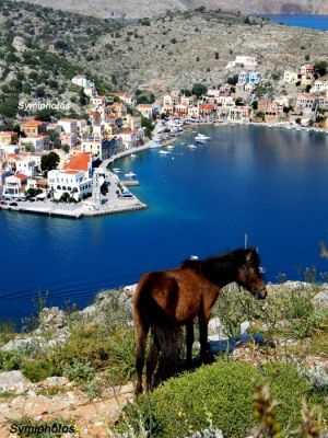 Κάντε κλικ για να δείτε την εικόνα σε πλήρες μέγεθος