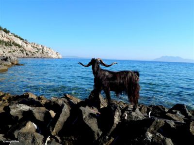 Κάντε κλικ για να δείτε την εικόνα σε πλήρες μέγεθος