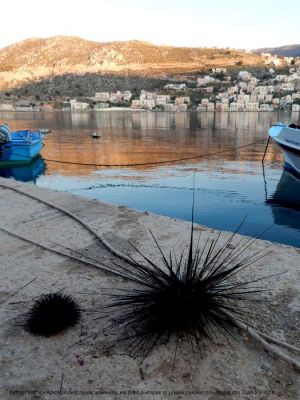 Κάντε κλικ για να δείτε την εικόνα σε πλήρες μέγεθος