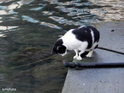 Κάντε κλικ για να δείτε την εικόνα σε πλήρες μέγεθος