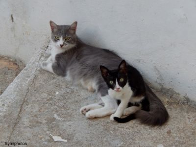 Κάντε κλικ για να δείτε την εικόνα σε πλήρες μέγεθος