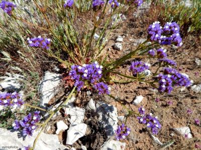 Κάντε κλικ για να δείτε την εικόνα σε πλήρες μέγεθος