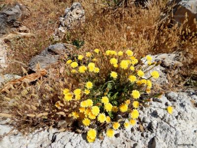 Κάντε κλικ για να δείτε την εικόνα σε πλήρες μέγεθος