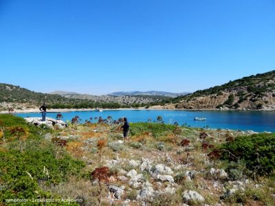 Κάντε κλικ για να δείτε την εικόνα σε πλήρες μέγεθος