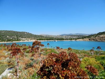 Tam boy resmi görebilmek için tıklayın