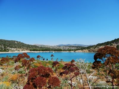 Κάντε κλικ για να δείτε την εικόνα σε πλήρες μέγεθος