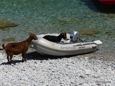 Κάντε κλικ για να δείτε την εικόνα σε πλήρες μέγεθος