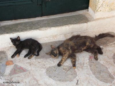 Κάντε κλικ για να δείτε την εικόνα σε πλήρες μέγεθος