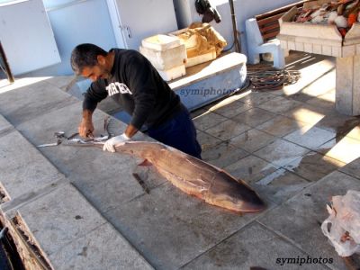 Κάντε κλικ για να δείτε την εικόνα σε πλήρες μέγεθος